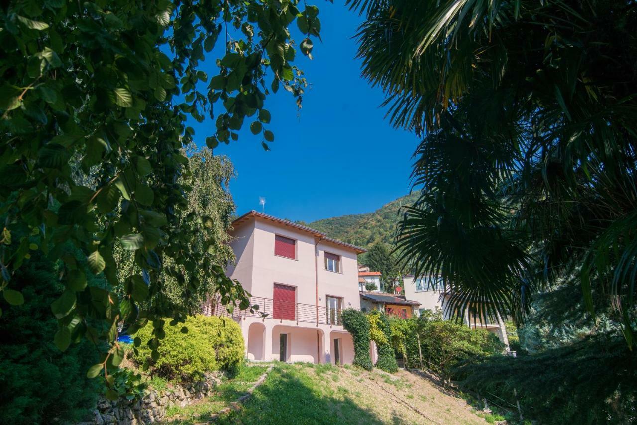 צ'רנוביו Villa Vittoria - The House Of Travelers מראה חיצוני תמונה